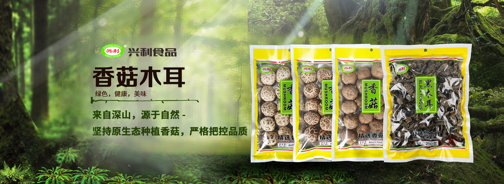 火狐体育官网入口